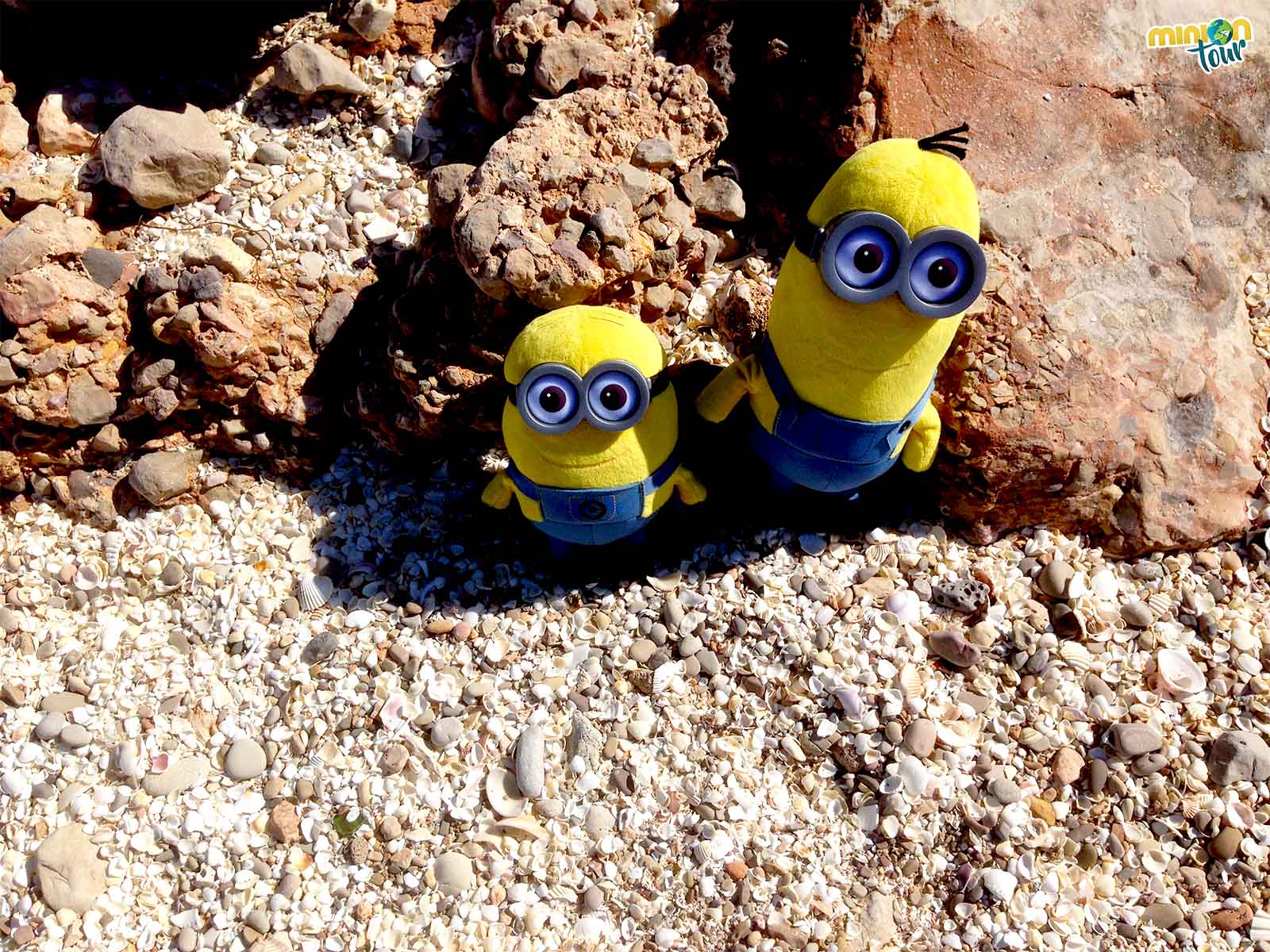 2 Minions rodeados de conchas