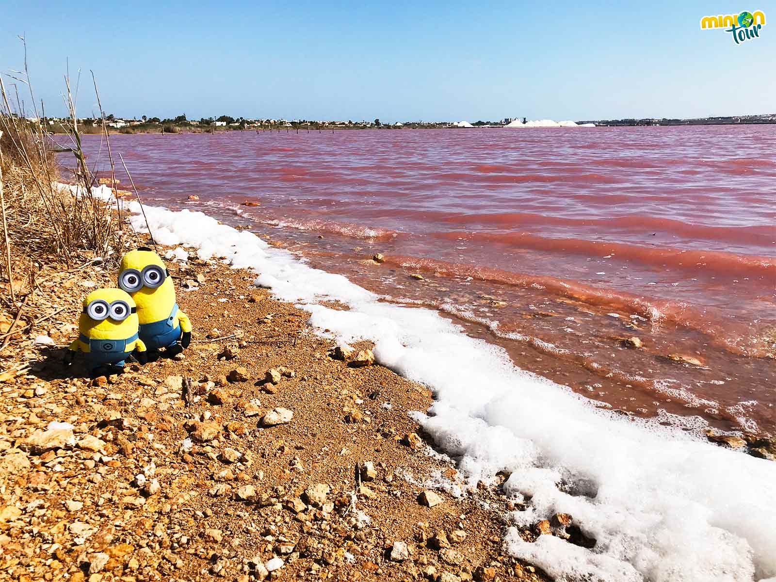 ¿Una laguna rosa en España?