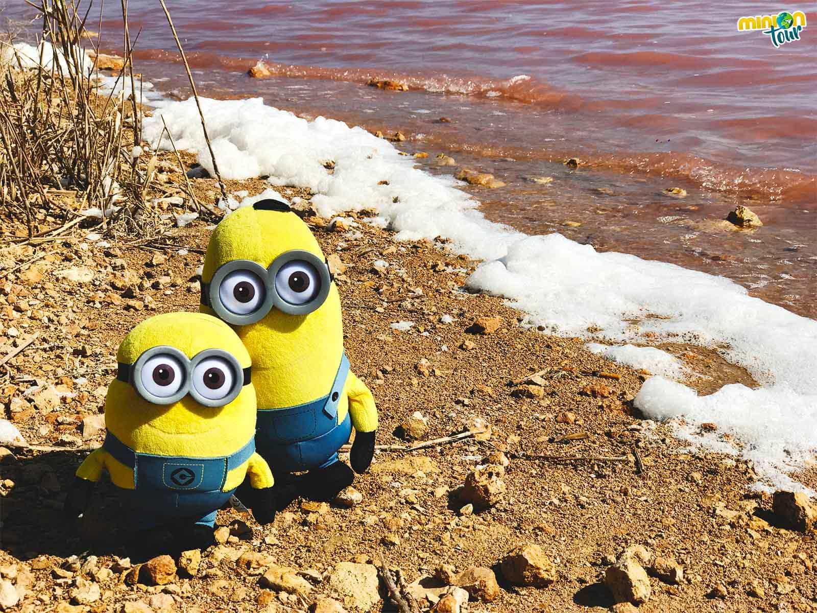 Minions, espuma y agua rosa