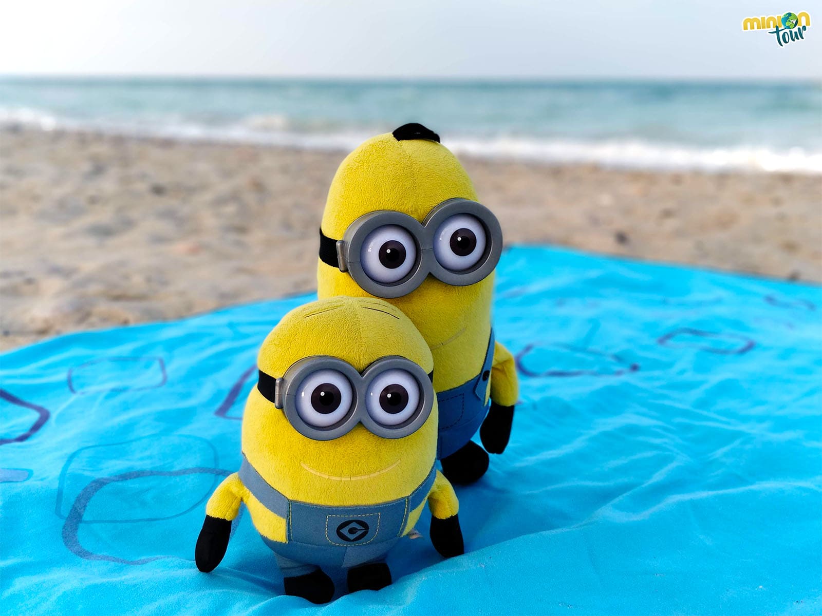 2 Minions tomando el sol