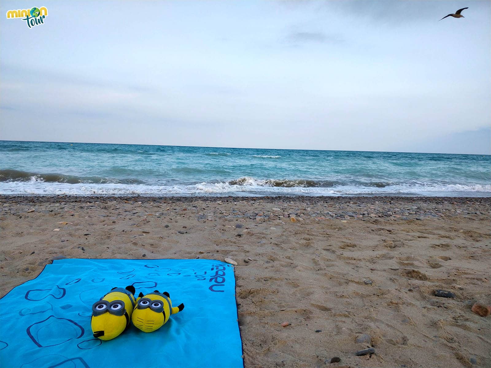 2 Minions tomando el sol en la Playa Almardà, muy cerca de Canet de Berenguer