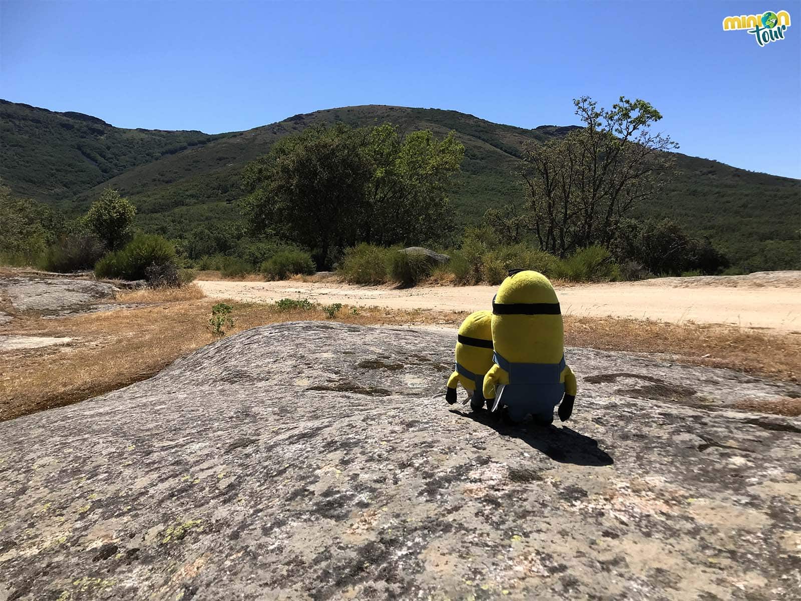 Buscando la tumba del peregrino en la ruta Secretos de Bosques y Cañadas en San Pablo de los Montes