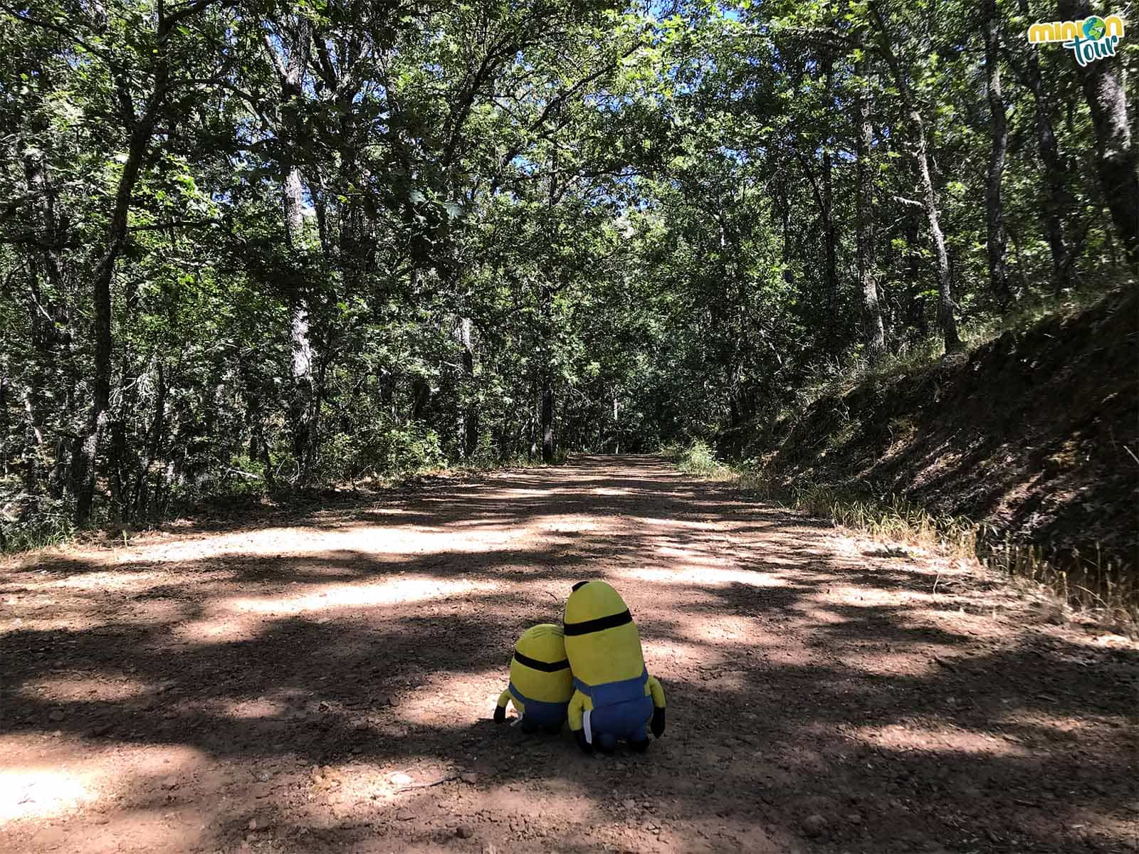 Seguimos la ruta cerca de San Pablo de los Montes