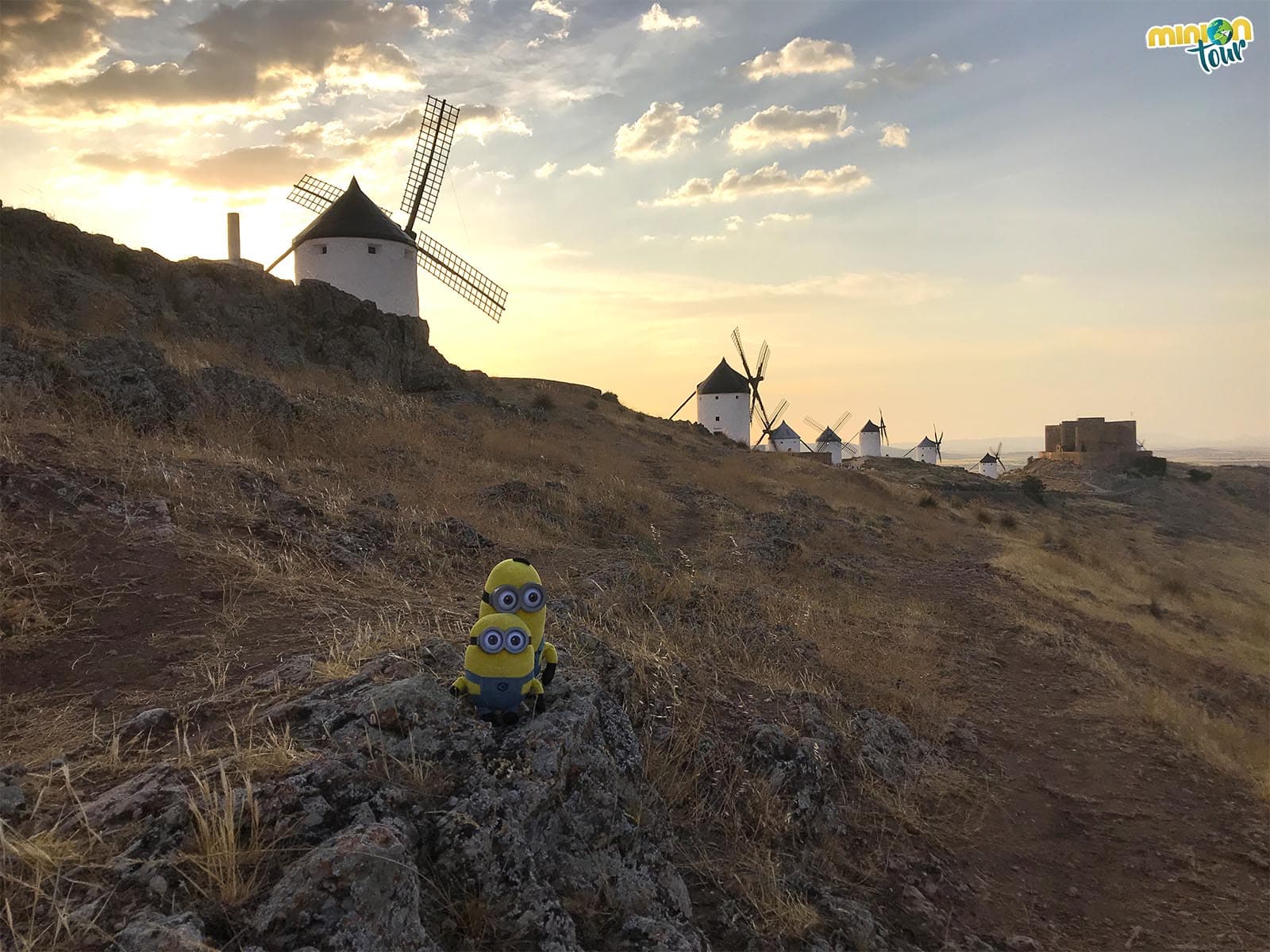 La típica estampa de los molinos de Consuegra