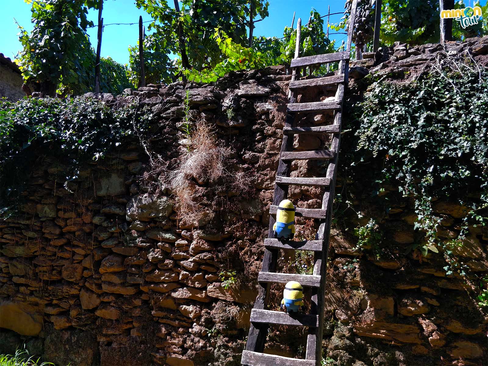 Subidos a una escalera