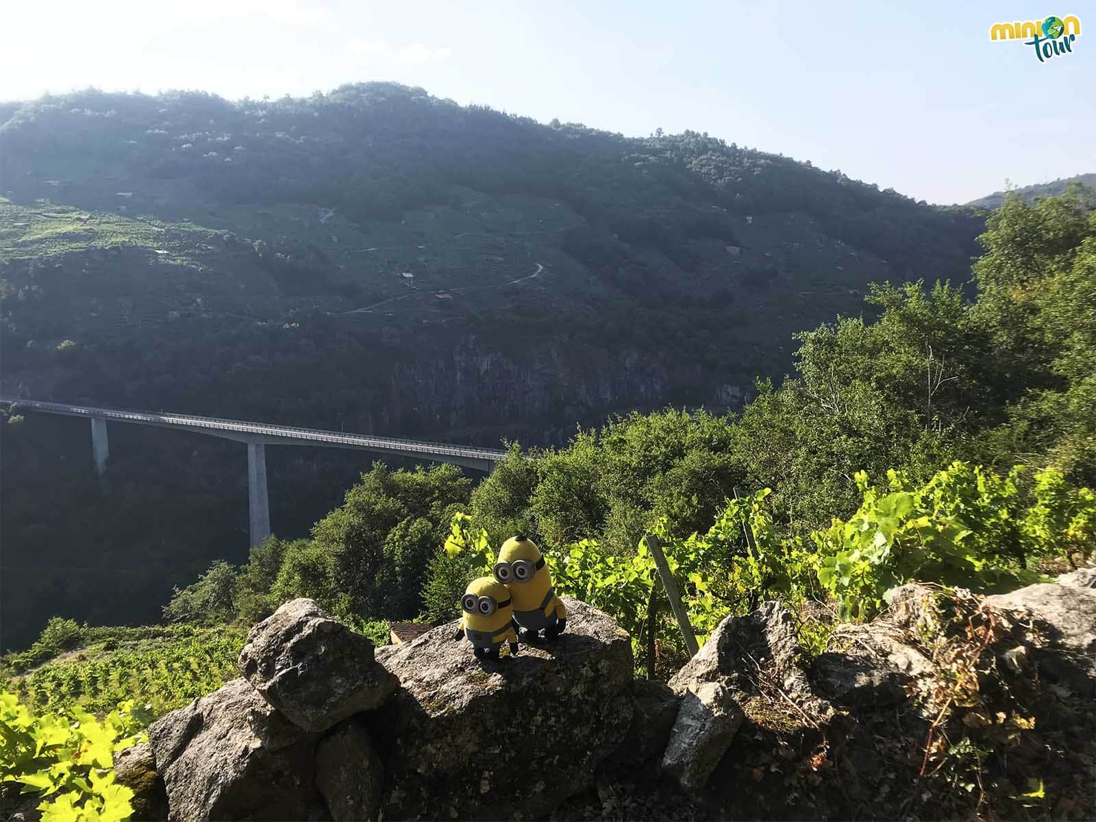 Vistas de la Ribeira Sacra en nuestro camino a Santo Estevo de Ribas de Miño