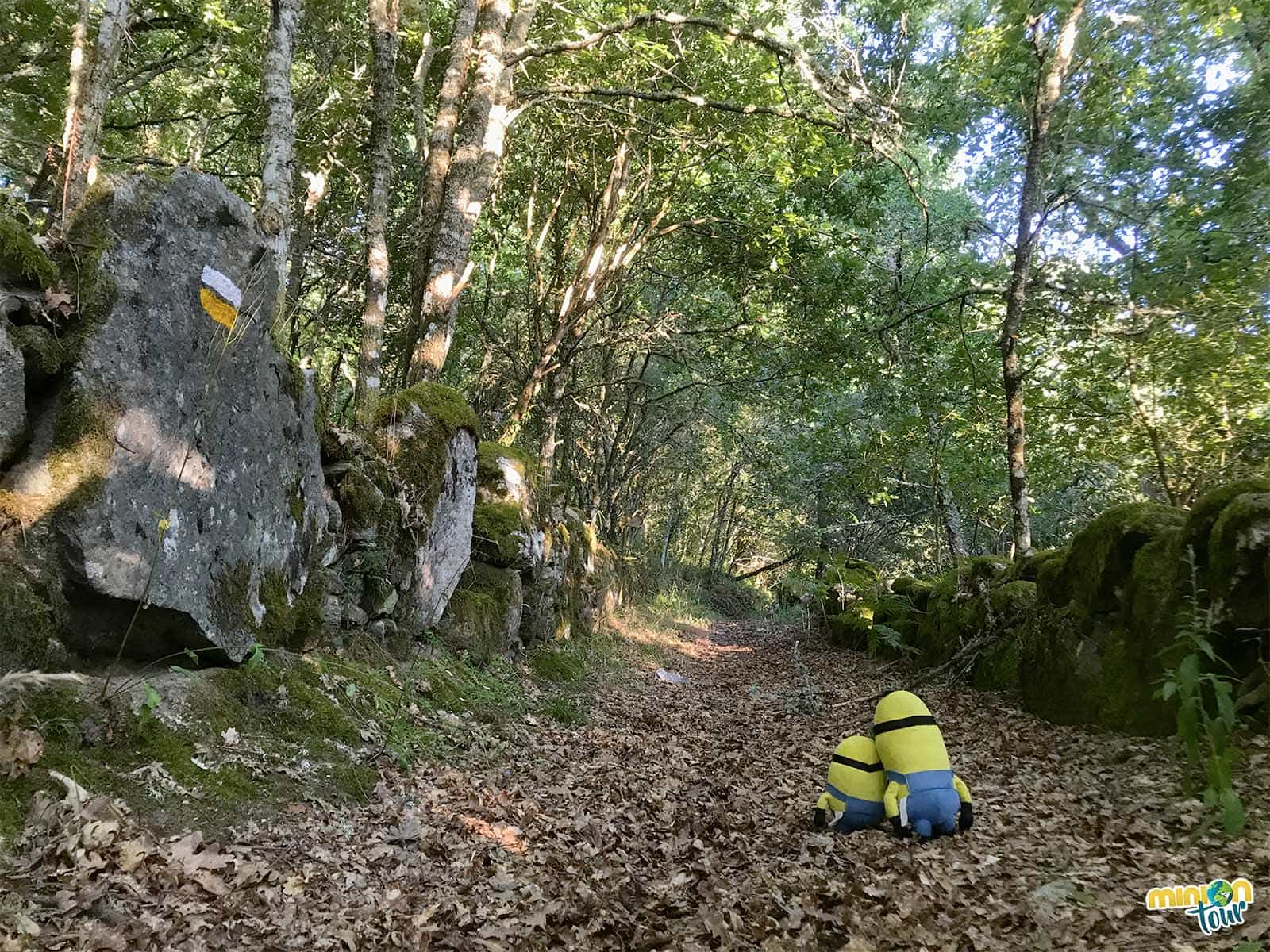 Ruta hacia el monasterio