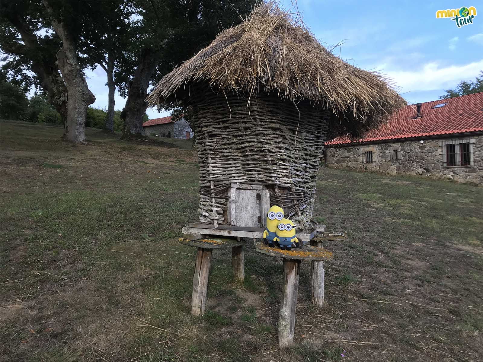 Rincones del recinto del pazo