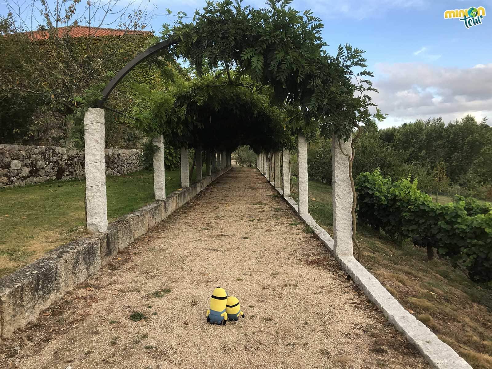 Paseando por los alrededores del pazo