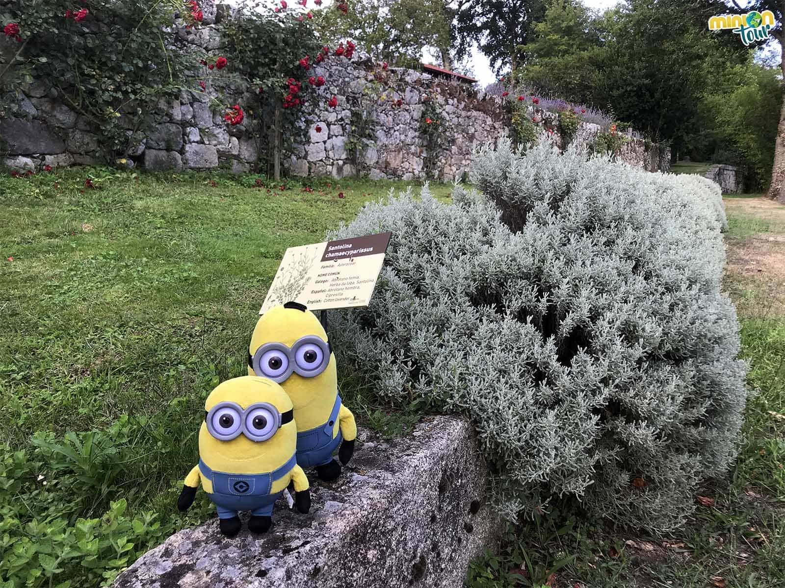 Aprendiendo de plantas en el Ecomuseo y Pazo de Arxeriz