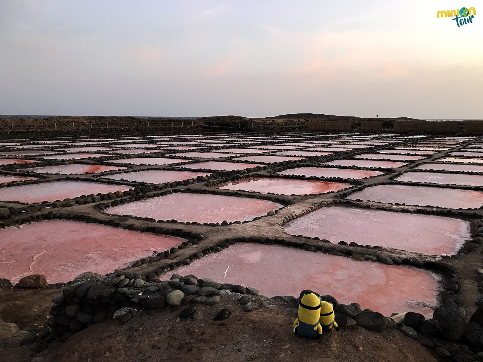 Las Salinas de Tenefé