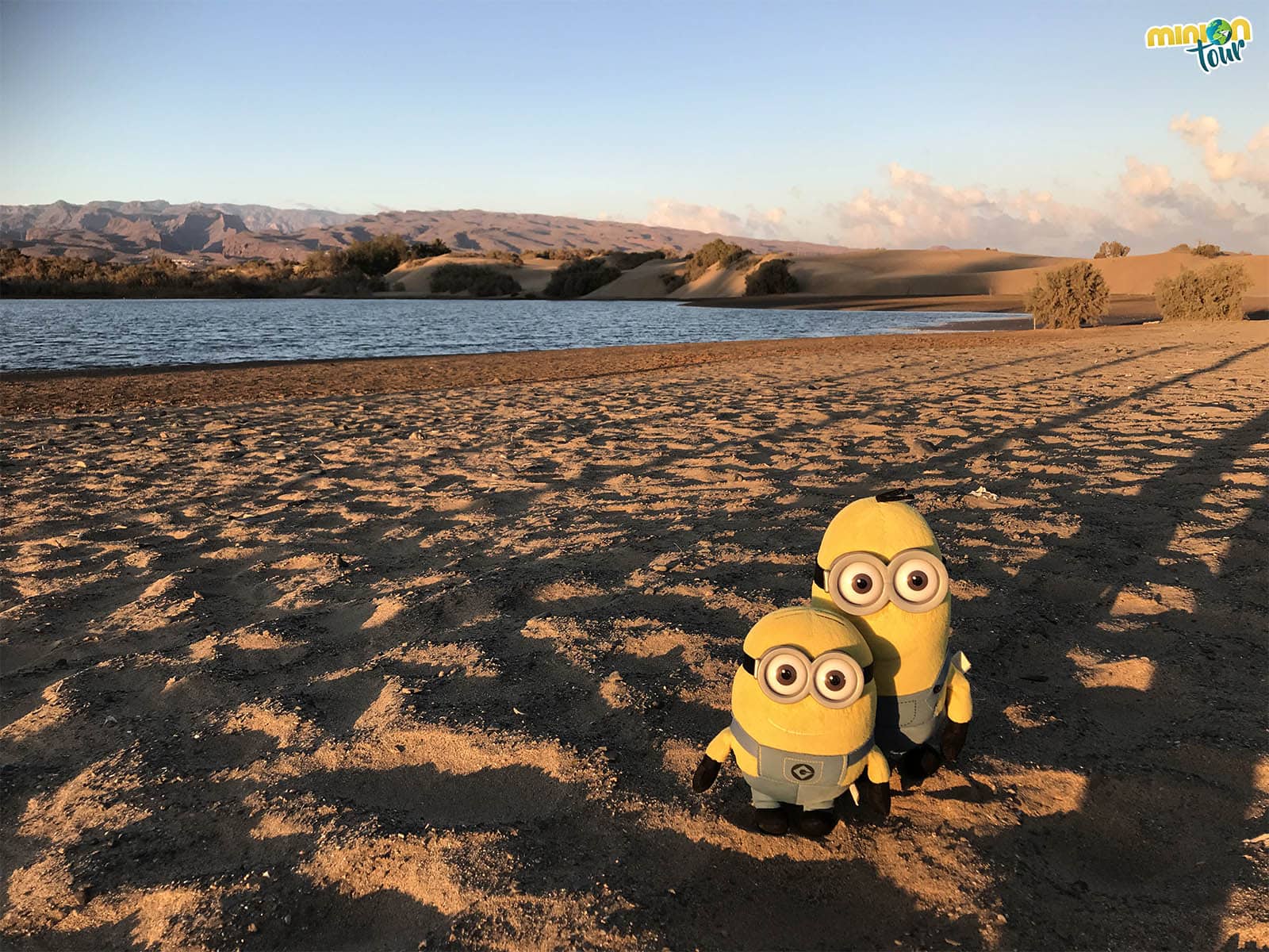 La Charca de Maspalomas