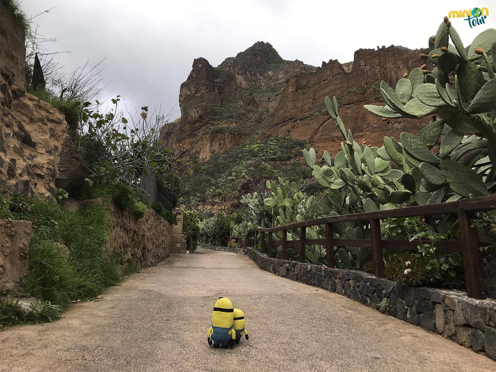 El Barranco de Guayadeque