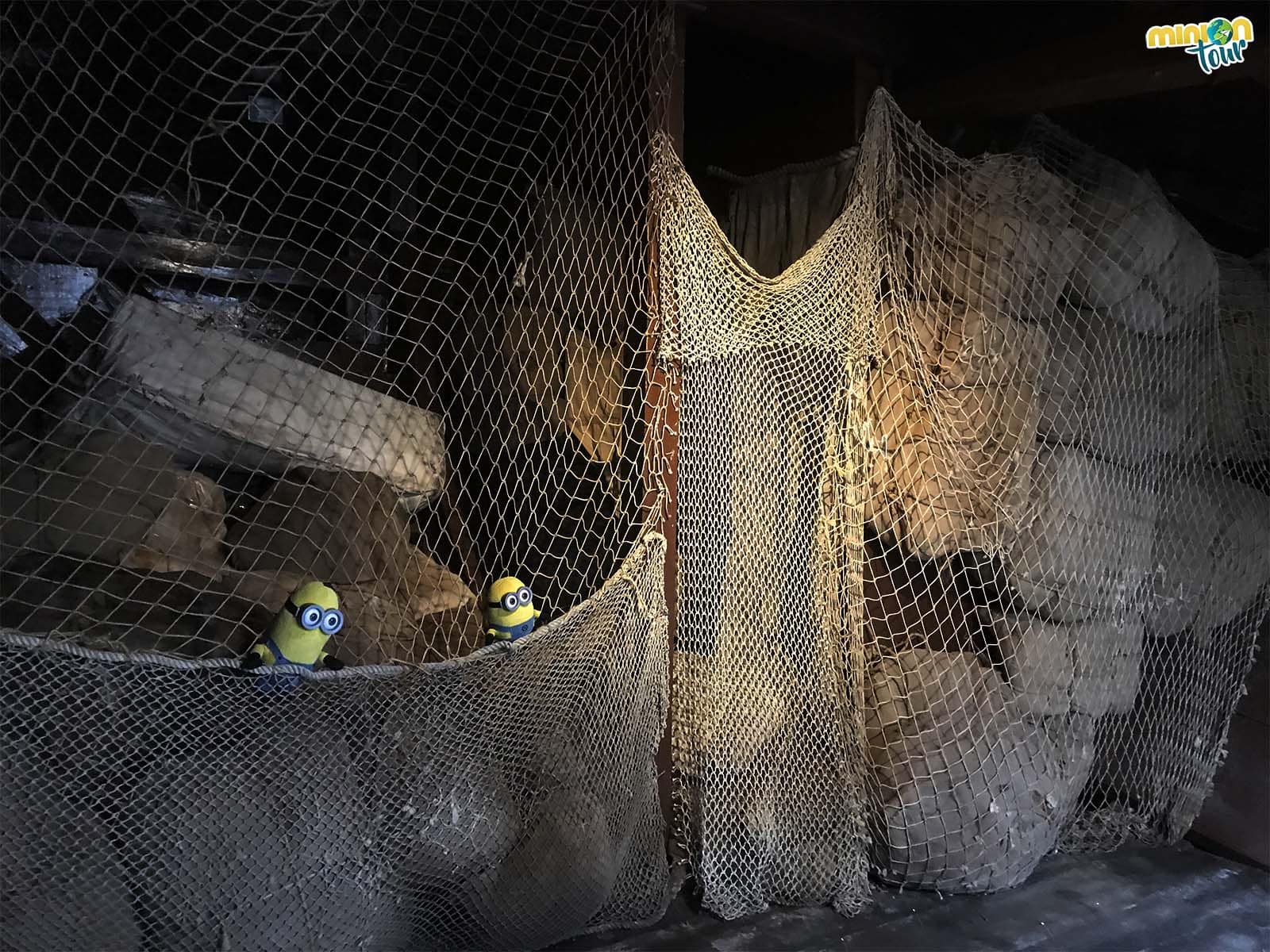 Redes en la bodega