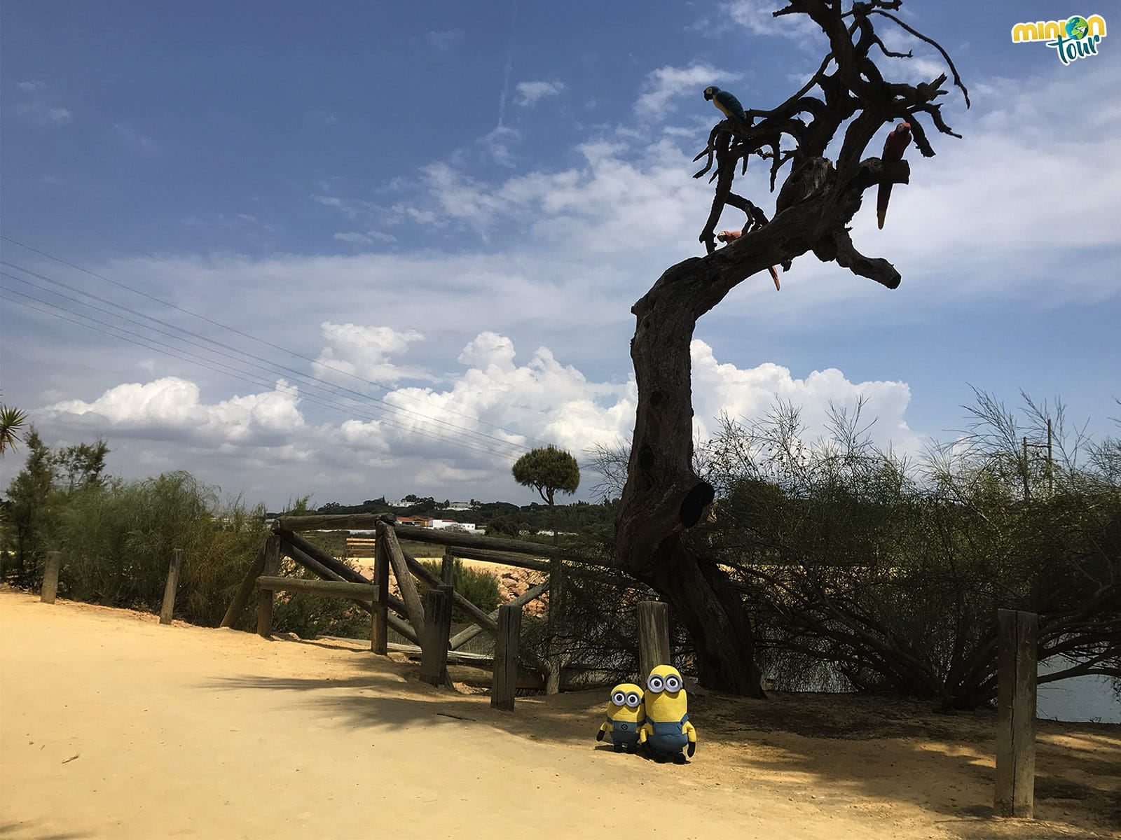 Con unos pájaros en la Isla del Encuentro