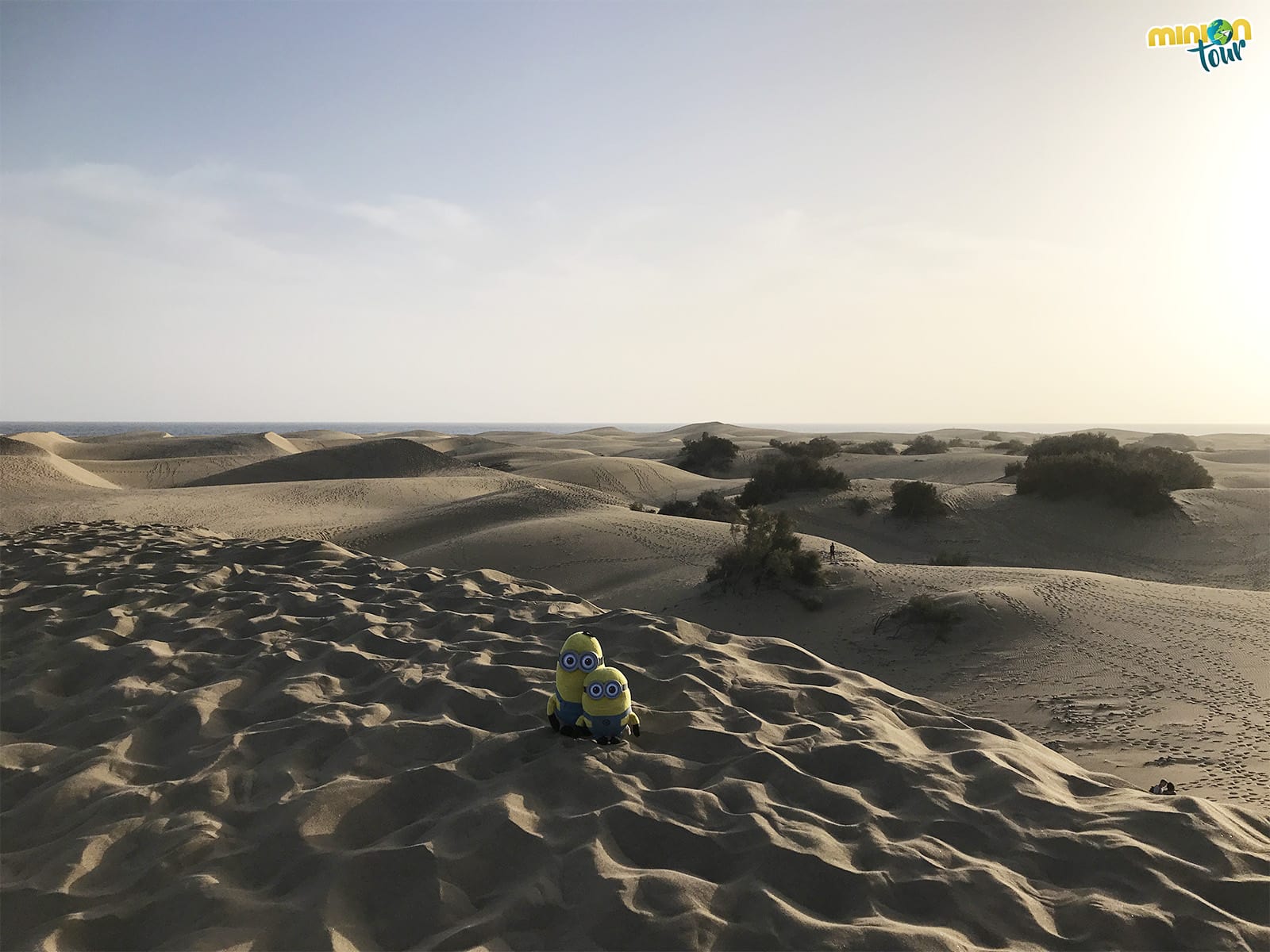 Dunas de Maspalomas