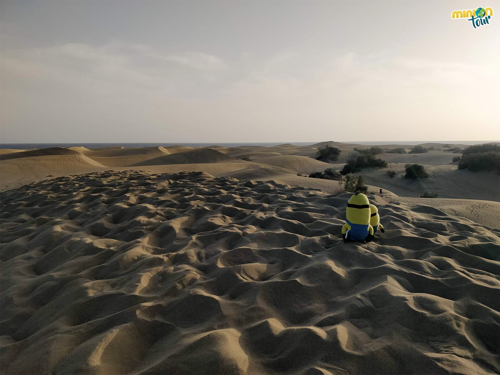 Las Dunas de Maspalomas en Gran Canaria