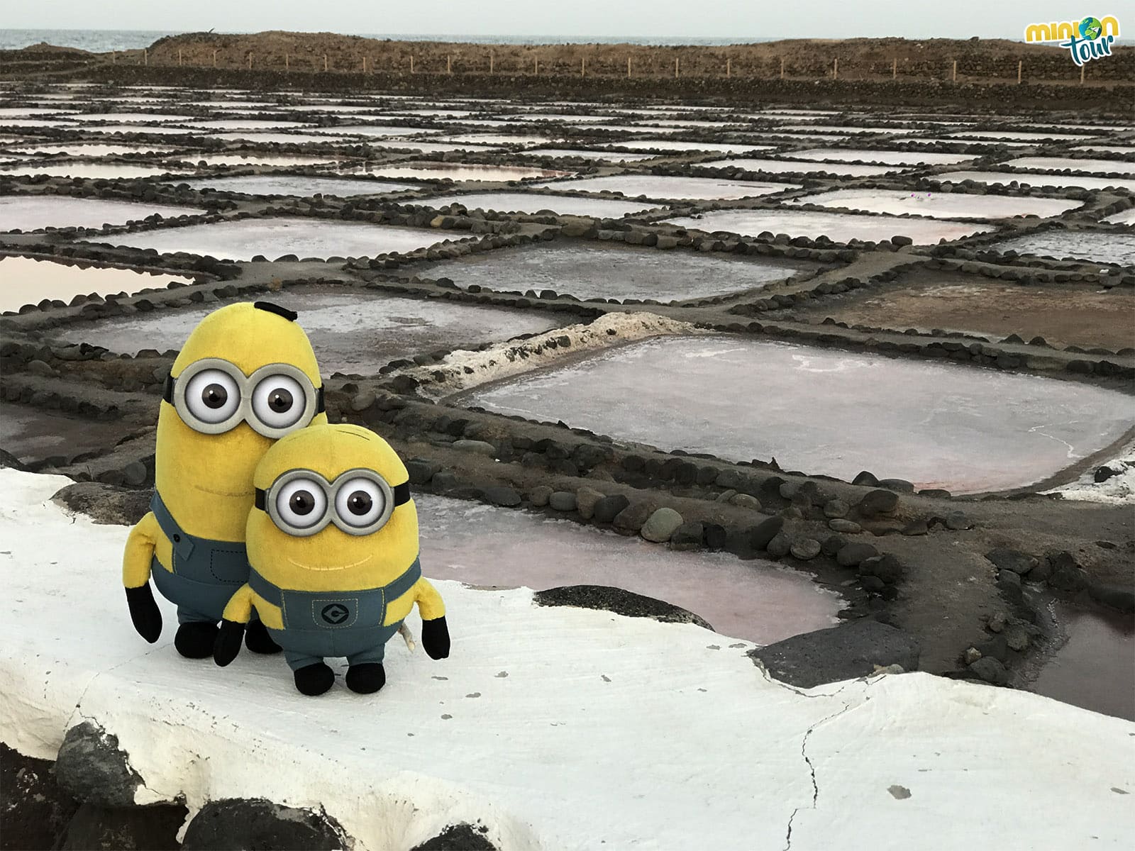 Las Salinas de Tenefé en Gran Canaria