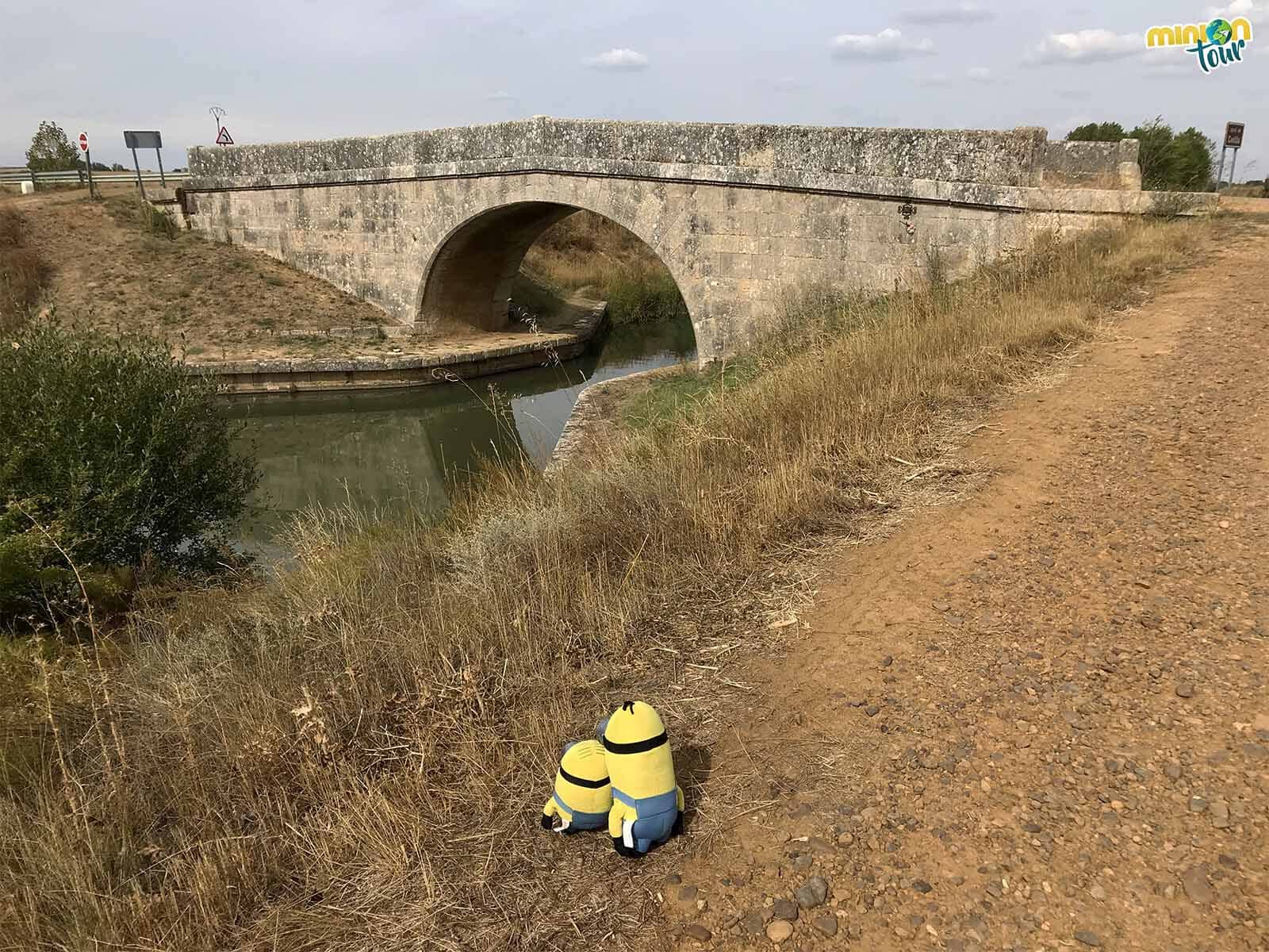 El Puente de Amusco sobre el Canal de Castilla