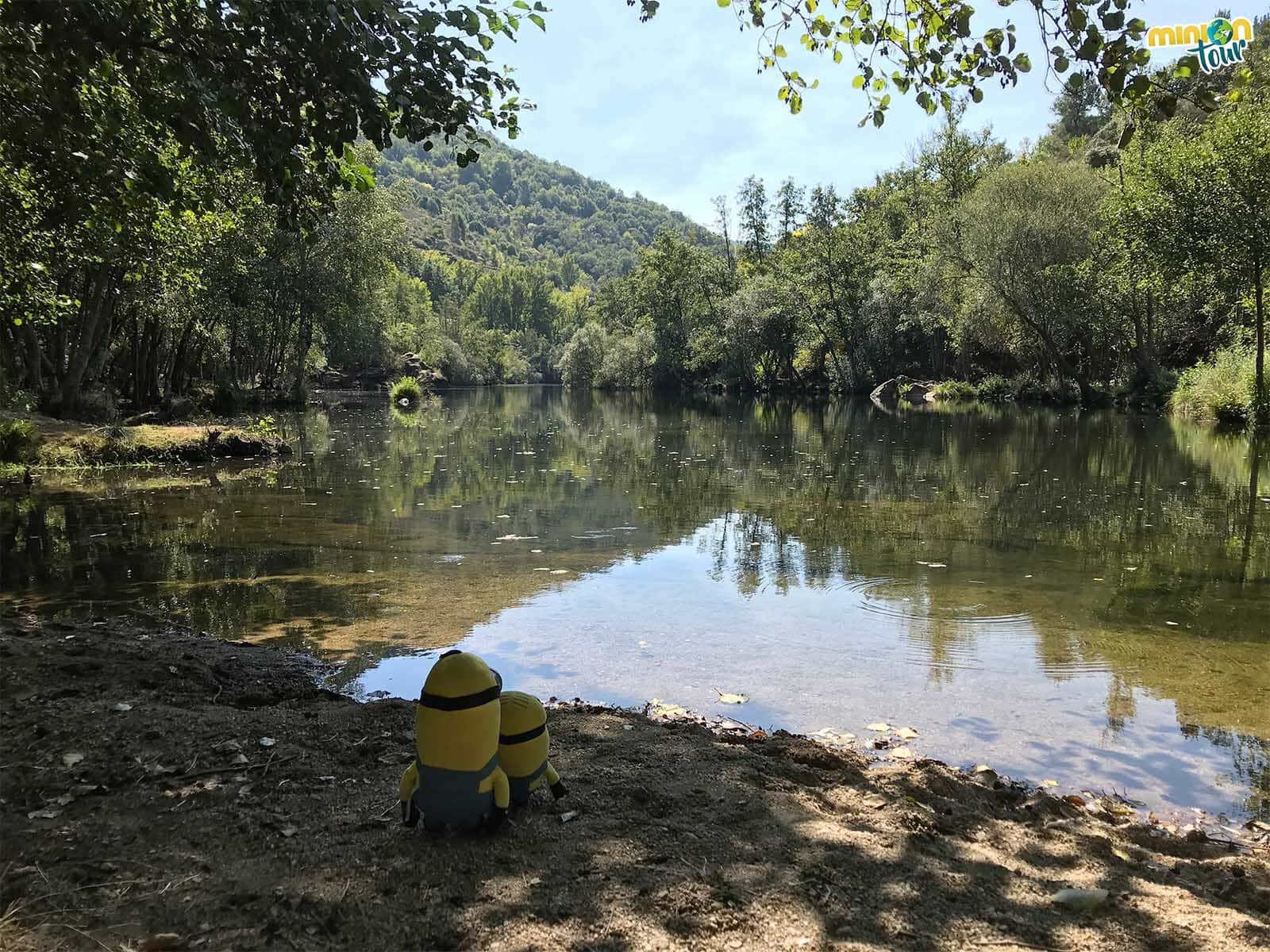 Minions en la playa fluvial de As Ermitas