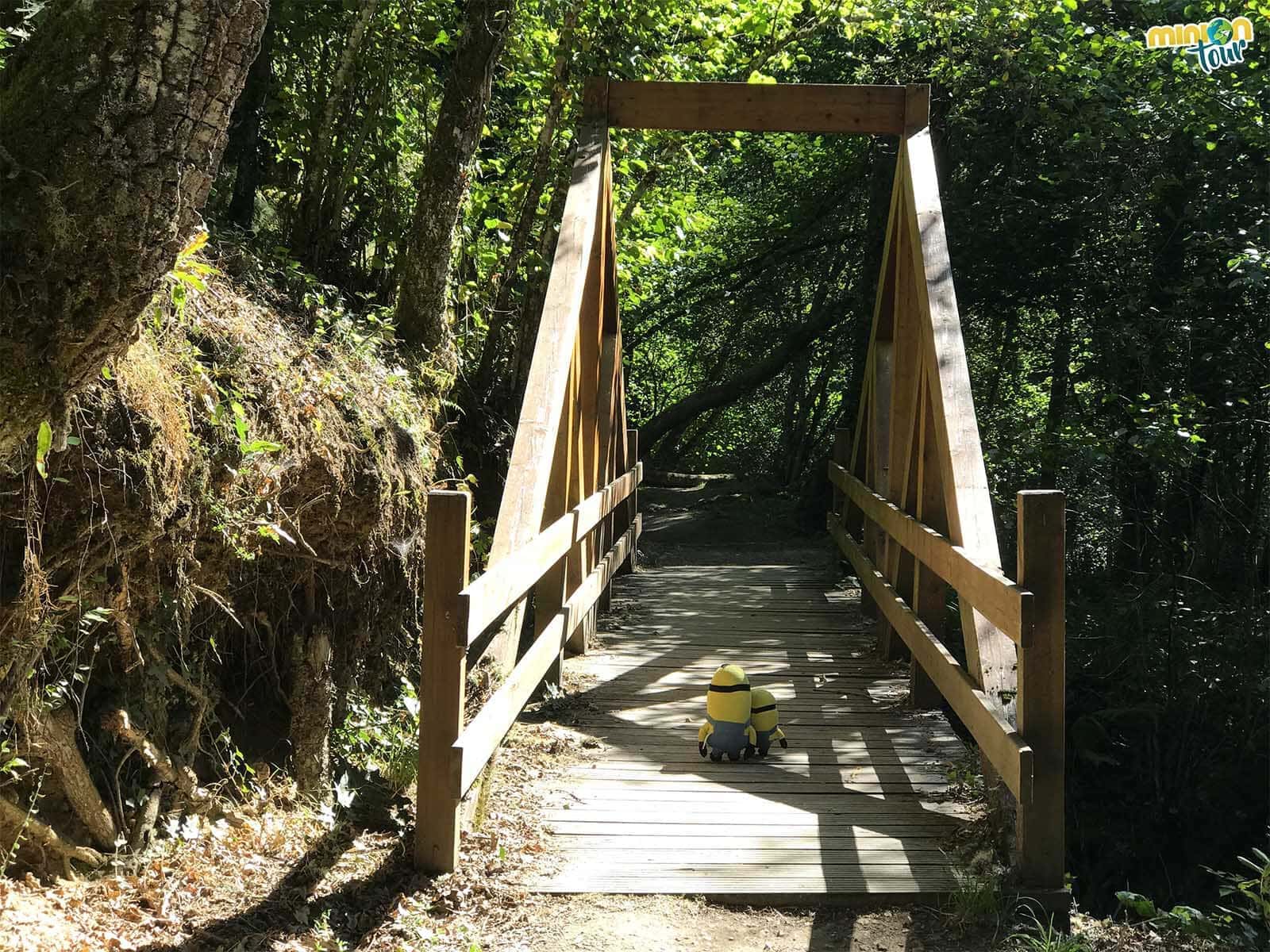 Cruzando por el puentecito de madera