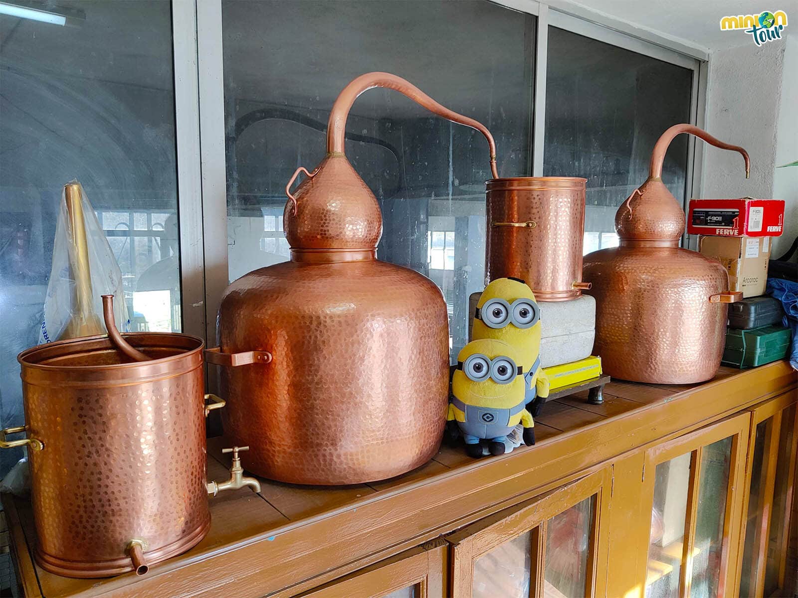 Minions en el Taller de Manolete en Os Peares