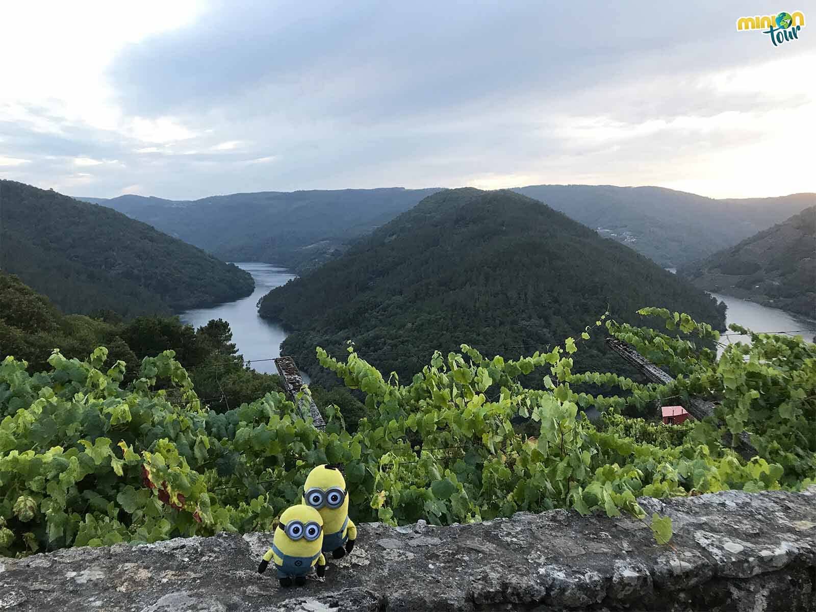 El Mirador de Abadía da Cova es uno de nuestros favoritos para ver los Cañones del Sil en la Ribeira Sacra