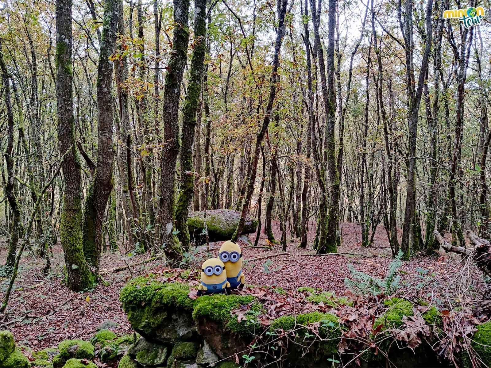 Hemos encontrado la puerta del Dolmen de Vilatán