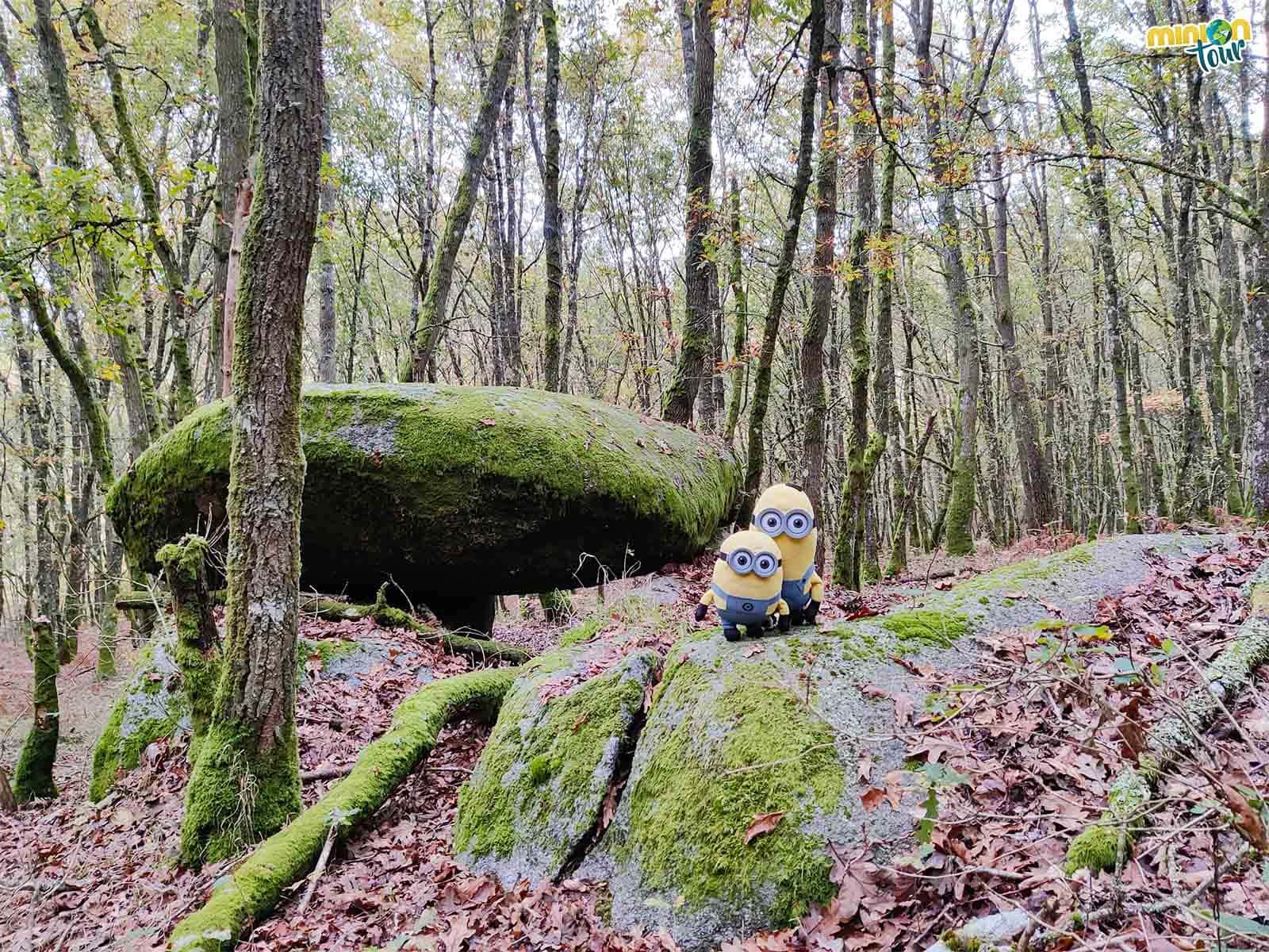 El Dolmen de Leira Rapada es un sitio muy chulo de la España Vaciada