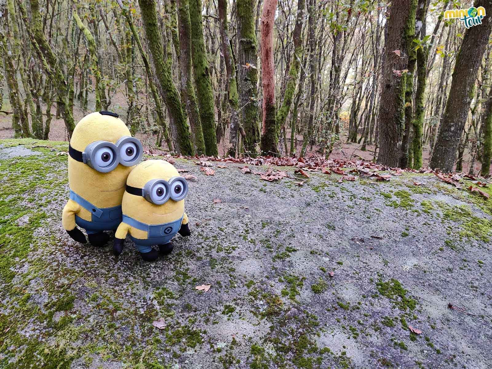 Estamos viendo los petroglifos del Dolmen de Leira Rapada en Vilatán