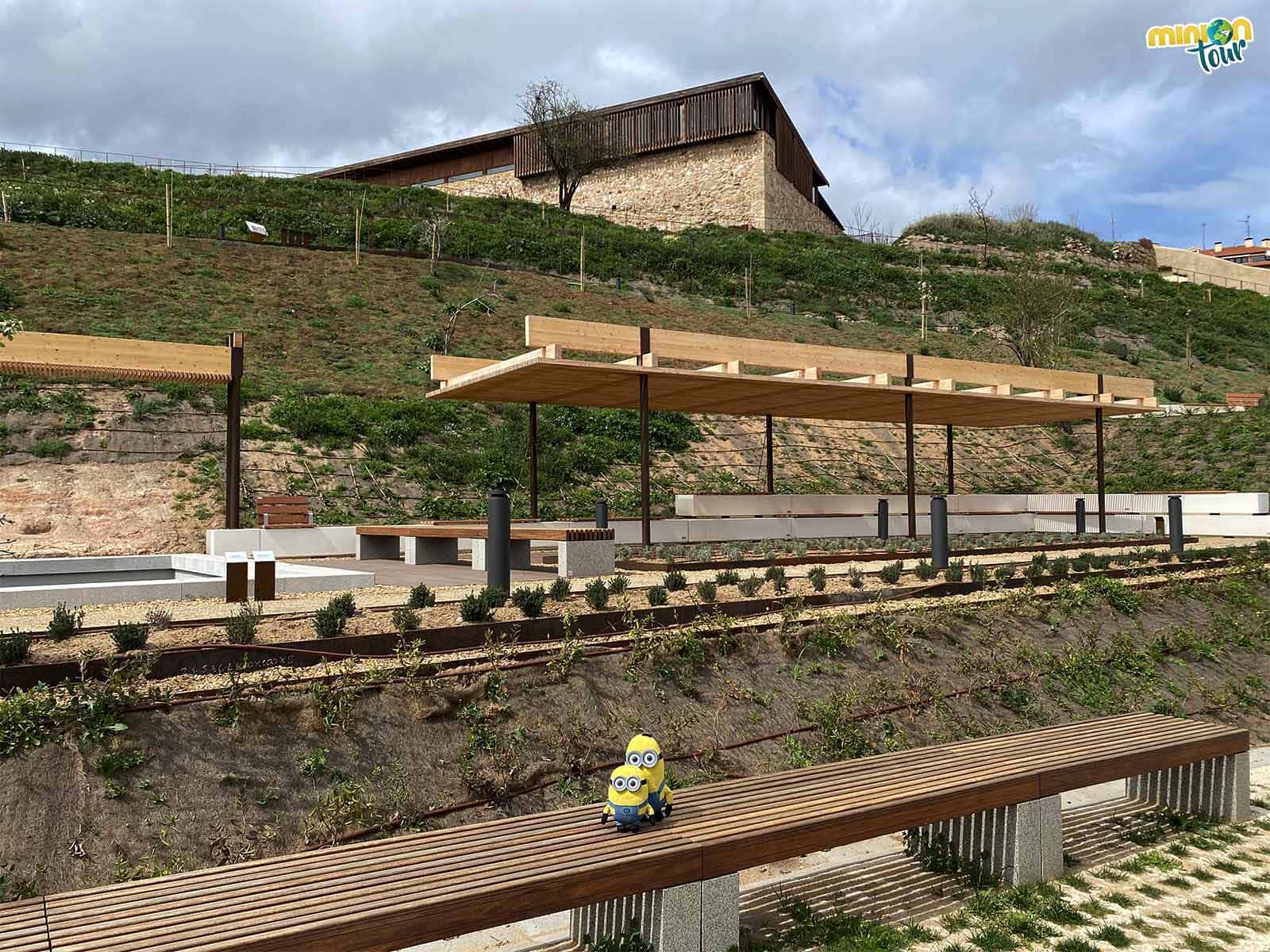 Minions en la visita arqueológica de la ladera del Cerro de San Vicente de Salamanca