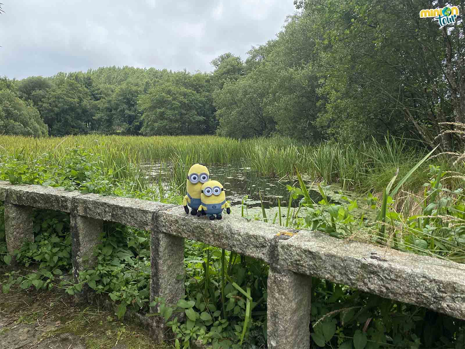 La laguna de Fonmiñá, donde se creía que nace el Miño