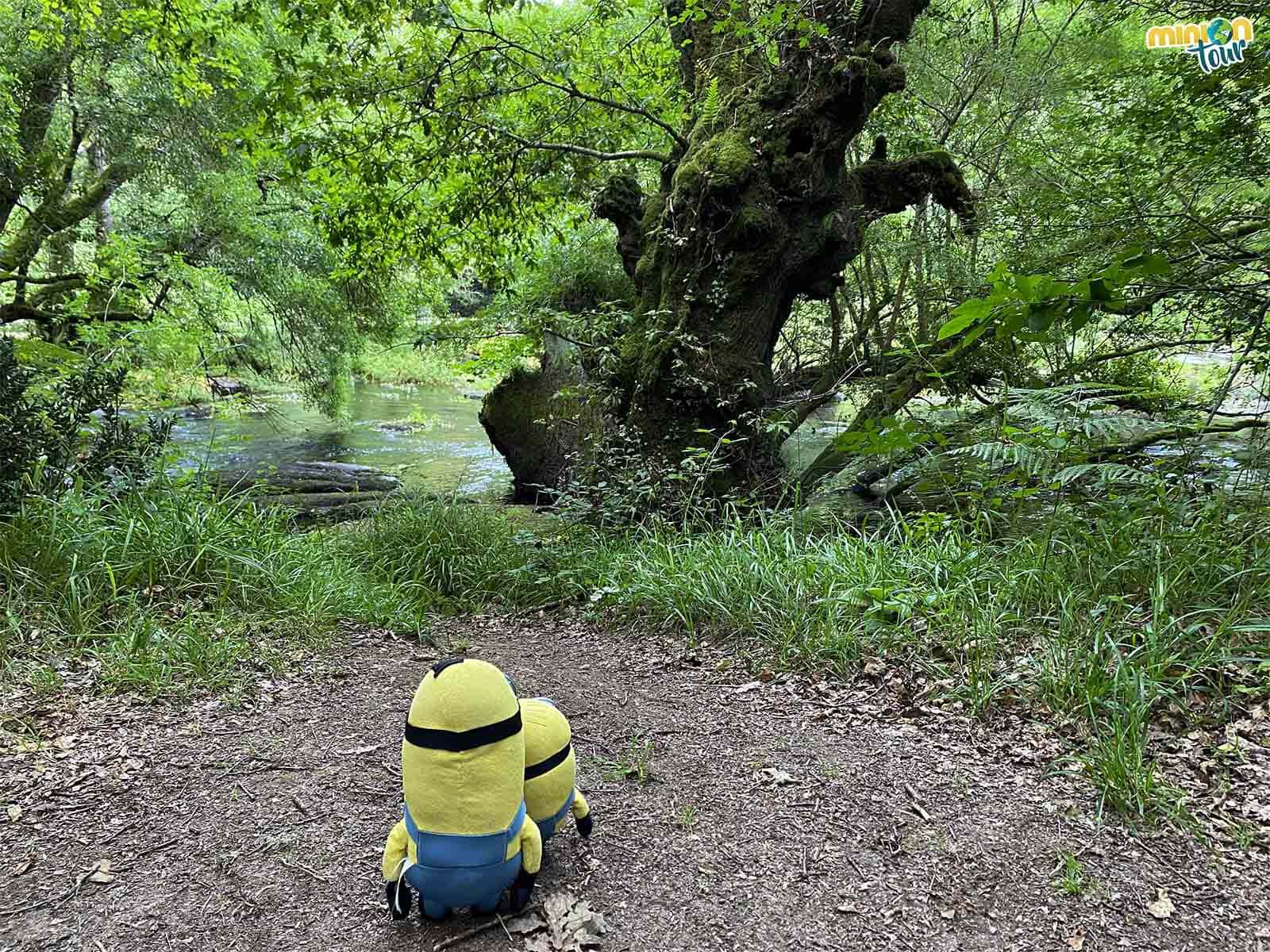 Toca un plan para disfrutar de la naturaleza en Galicia