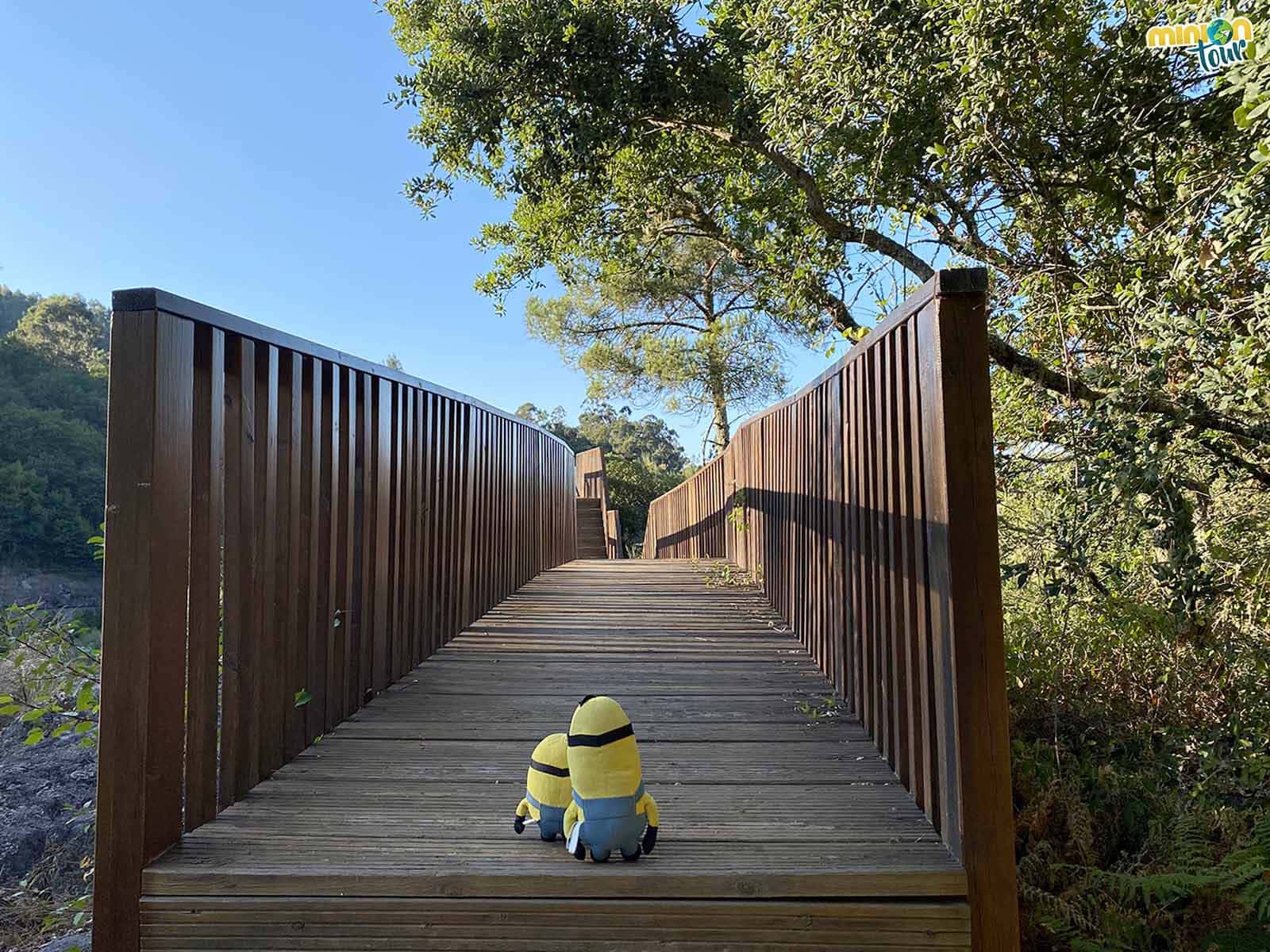 El Mirador do Coto da Pena es una de las cosas que tienes que ver en Cortegada