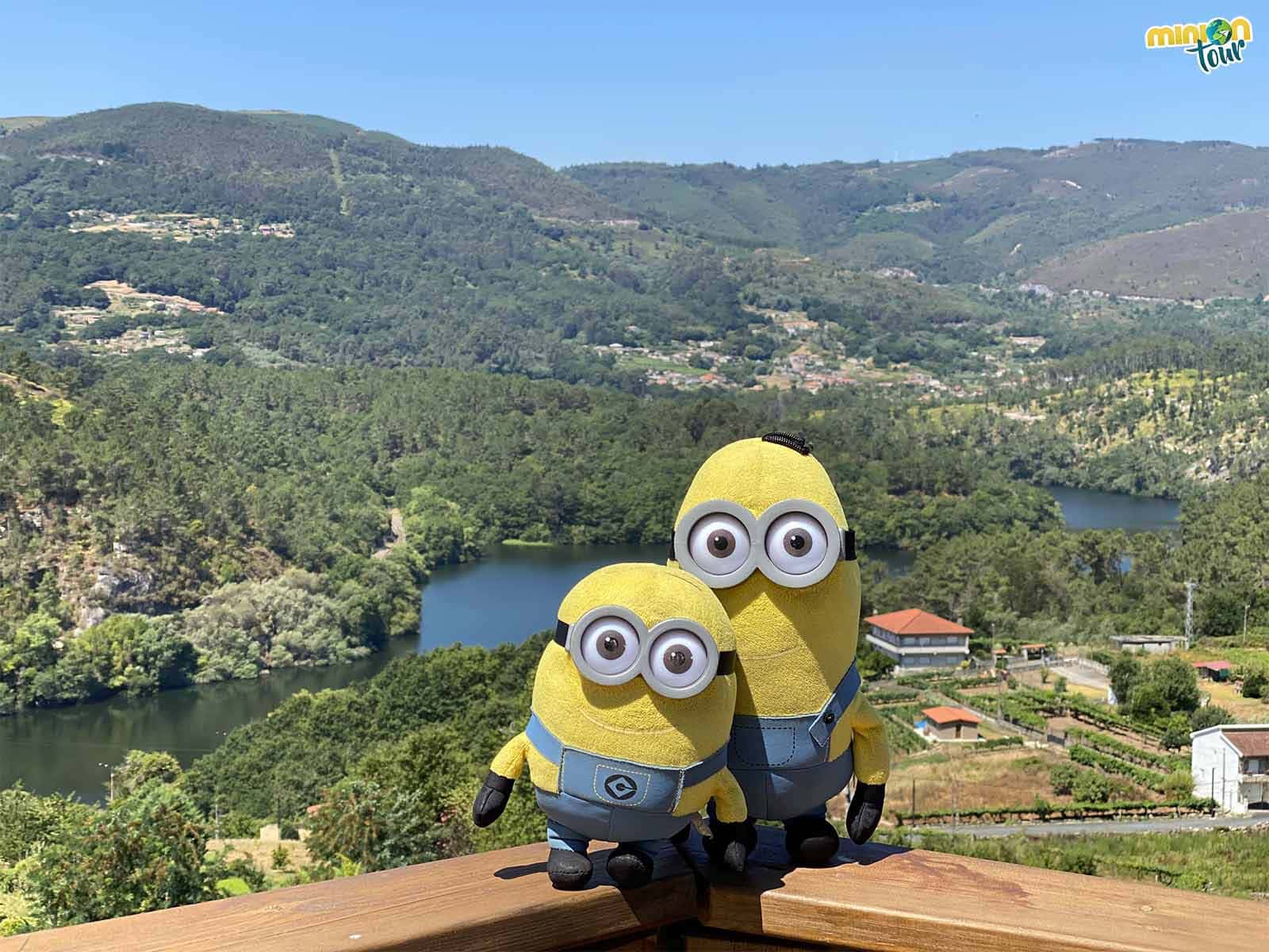 Otro de los sitios que ver en Cortegada es el Mirador de A Bouza