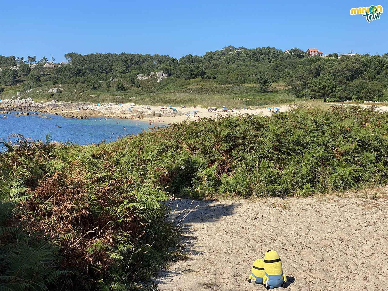 La Playa de Castiñeira es nudista