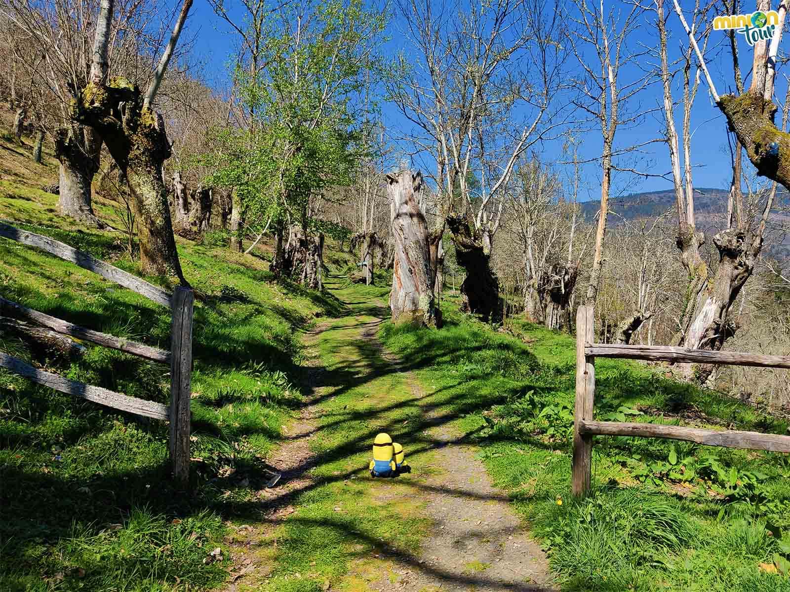 La aldea de Vilar en O Courel siempre estará en nuestro corazón La aldea de Vilar en O Courel siempre estará en nuestro corazón