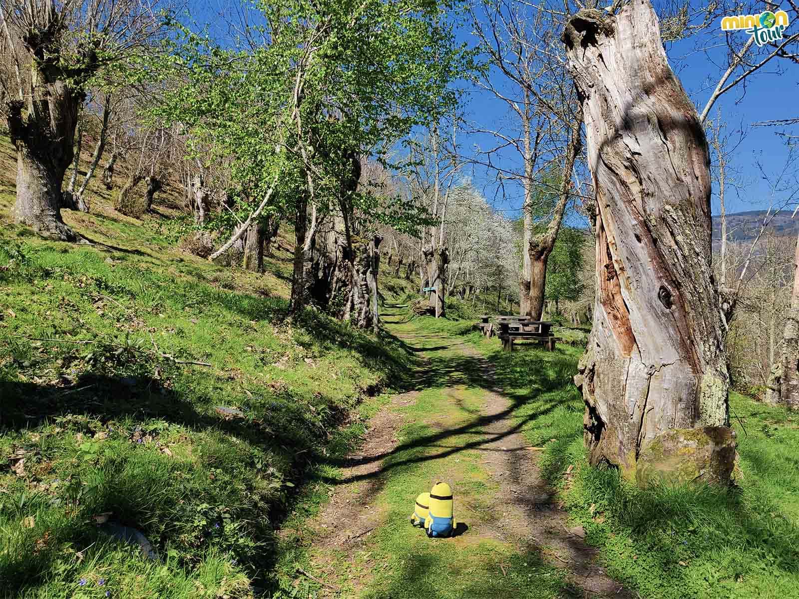 La aldea de Vilar en O Courel siempre estará en nuestro corazón
