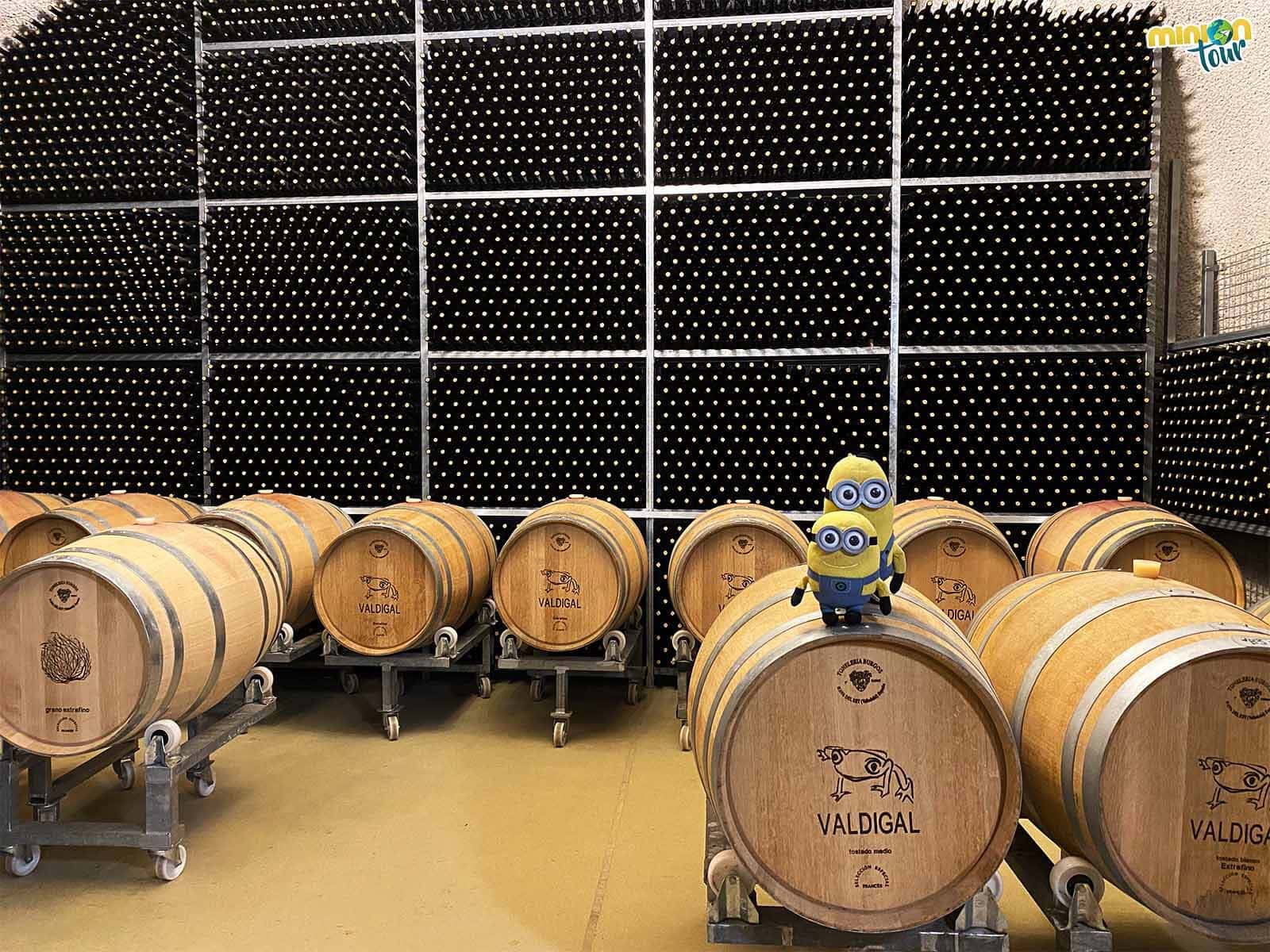 La Bodega Valdigal es la única en la que se sigue produciendo vino en Toro