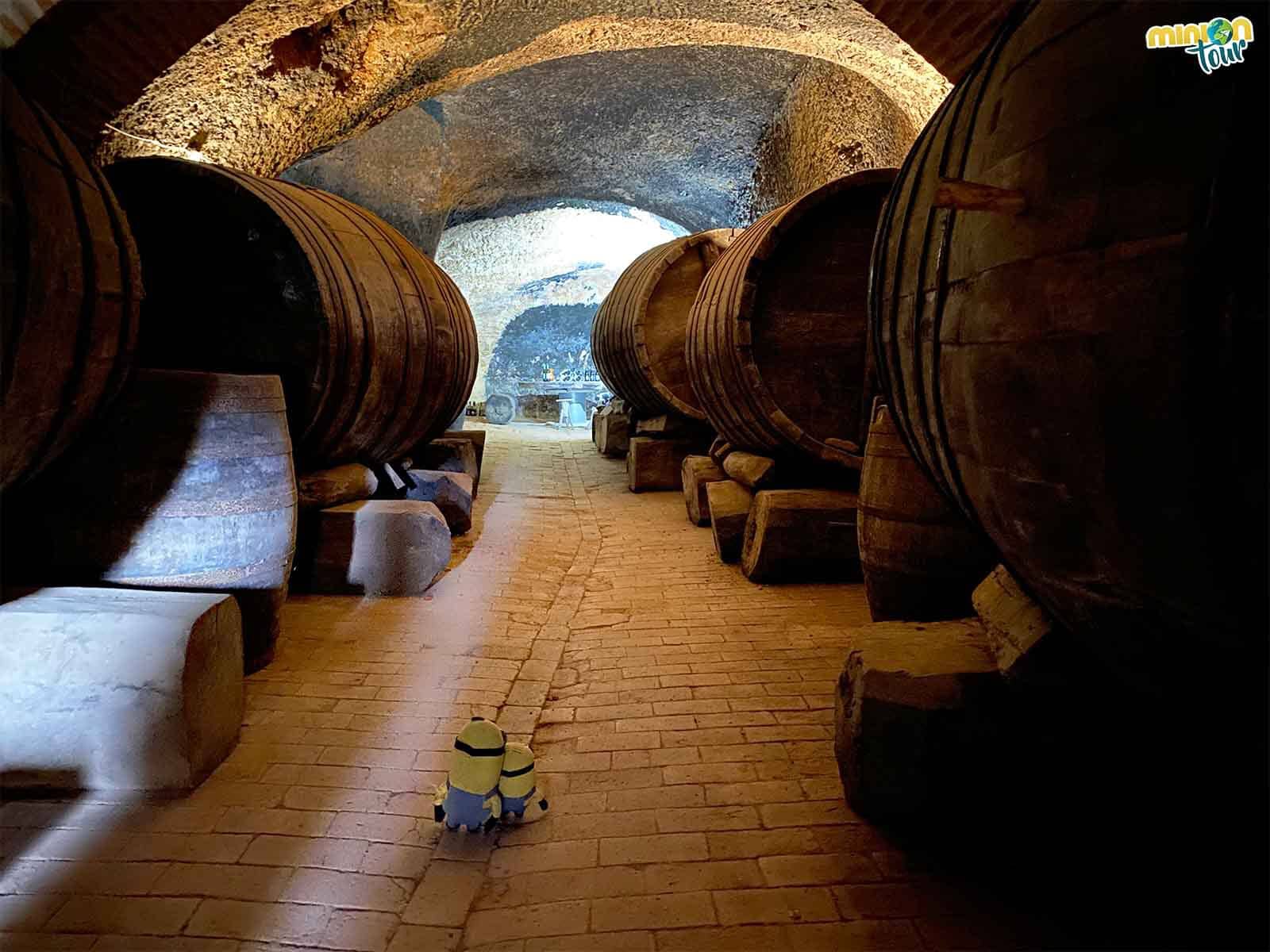 La Bodega de Ernesto del Palacio es otra de las que tienes que ver en la Ruta del Vino del Toro