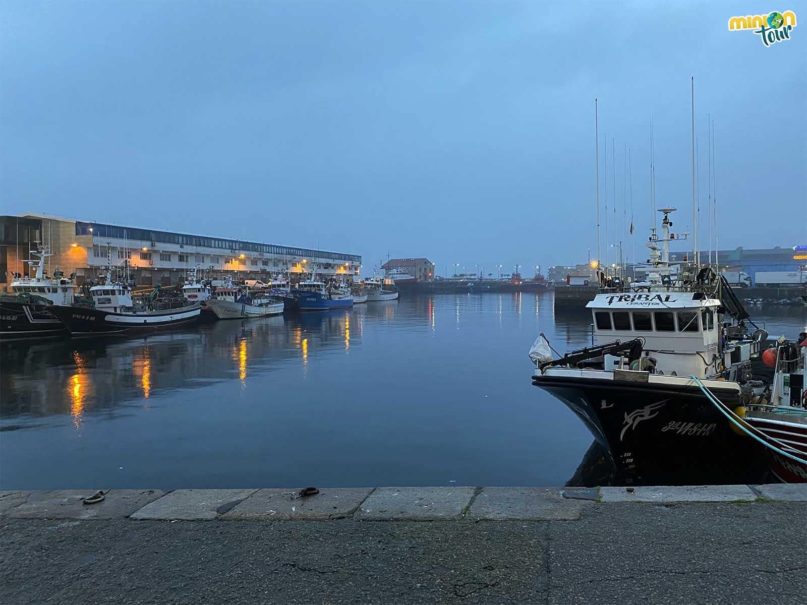 Visita guiada al Puerto Pesquero de Vigo en las Jornadas de GaliciaTB
