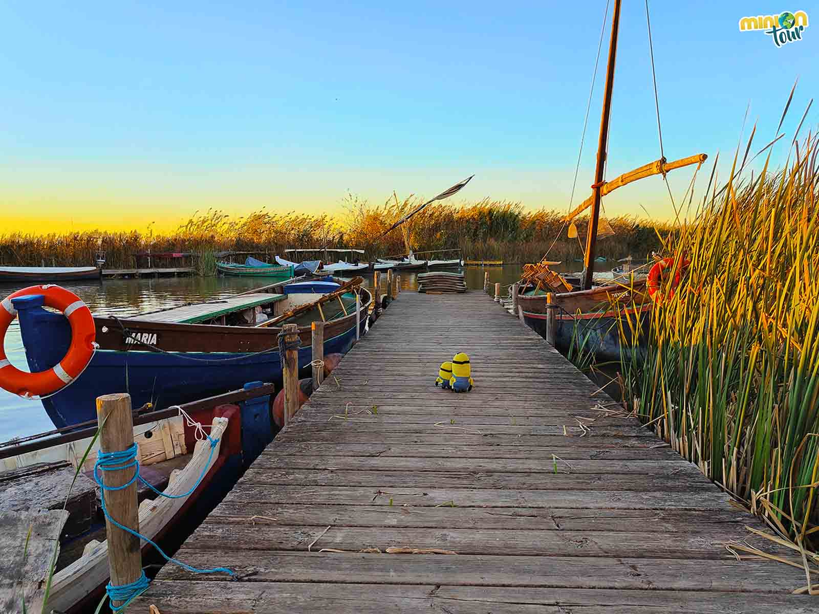 El Palmar de Valencia, qué ver y hacer en la isla de la Albufera que te enamorará
