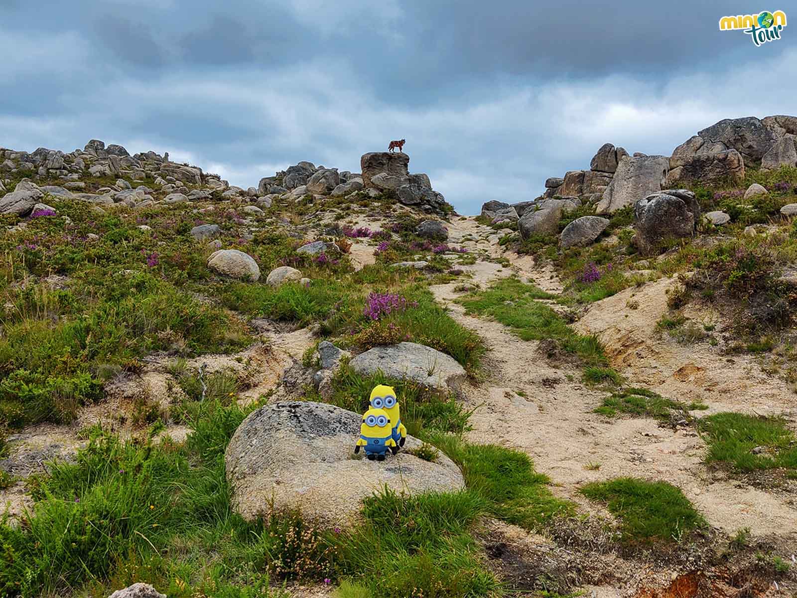 Ruta del Foxo do Lobo de Guende, patrimonio y paisaje muy cerca de Lobios