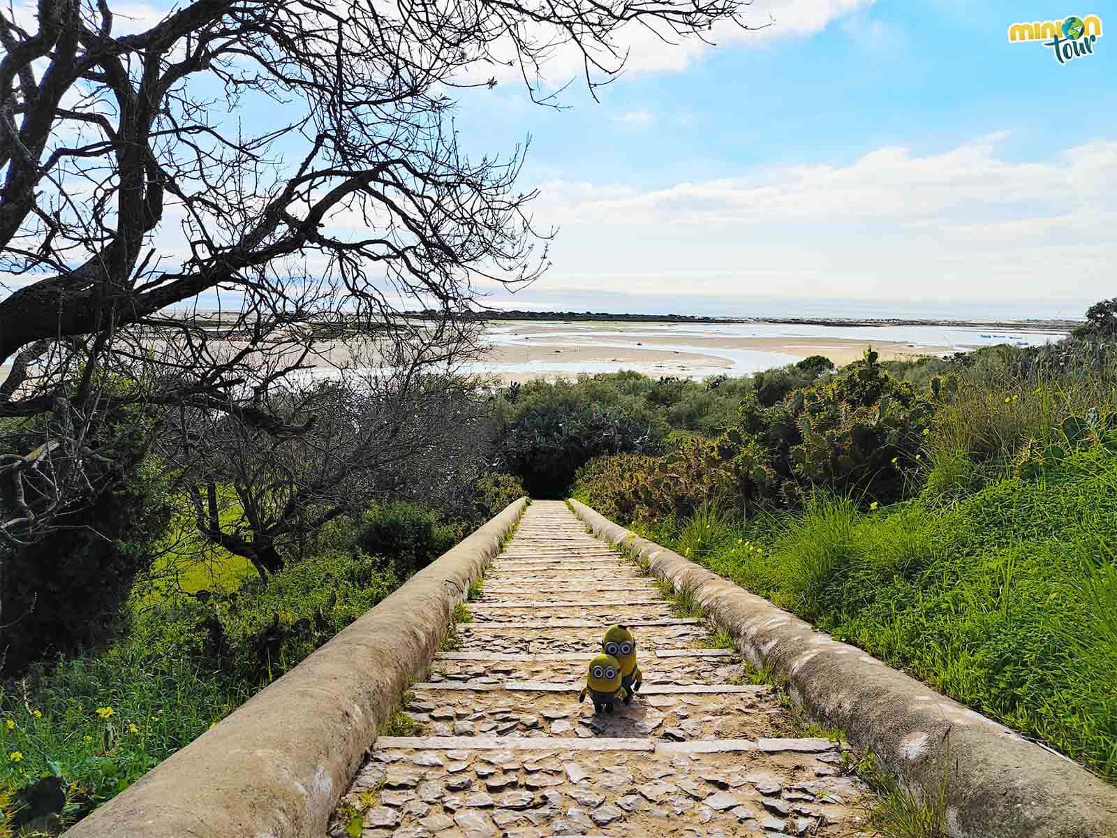 Por aquí vamos a llegar al agua