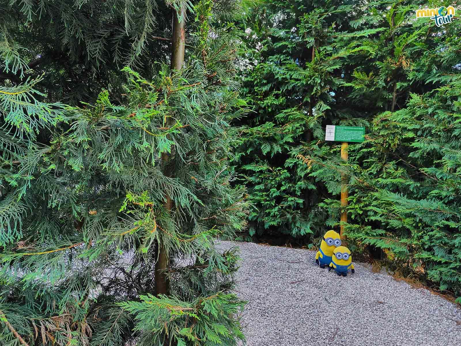 Nos hemos perdido en el Labirinto de Breoghán