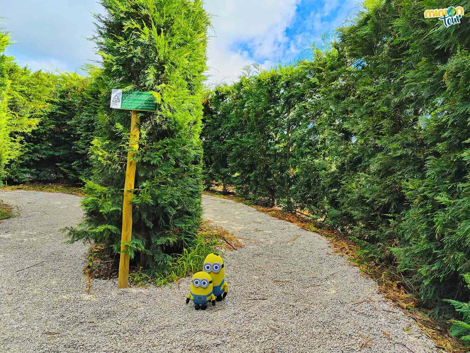 A Minions detectives no nos gana nadie