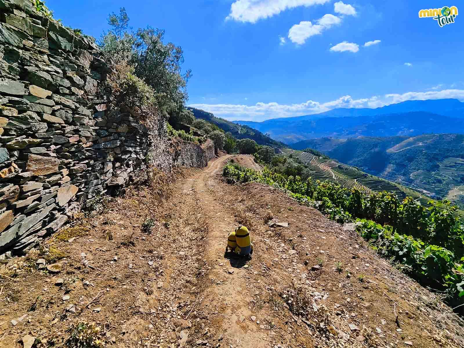 Las rutas de senderismo de Vila Real molan un montón