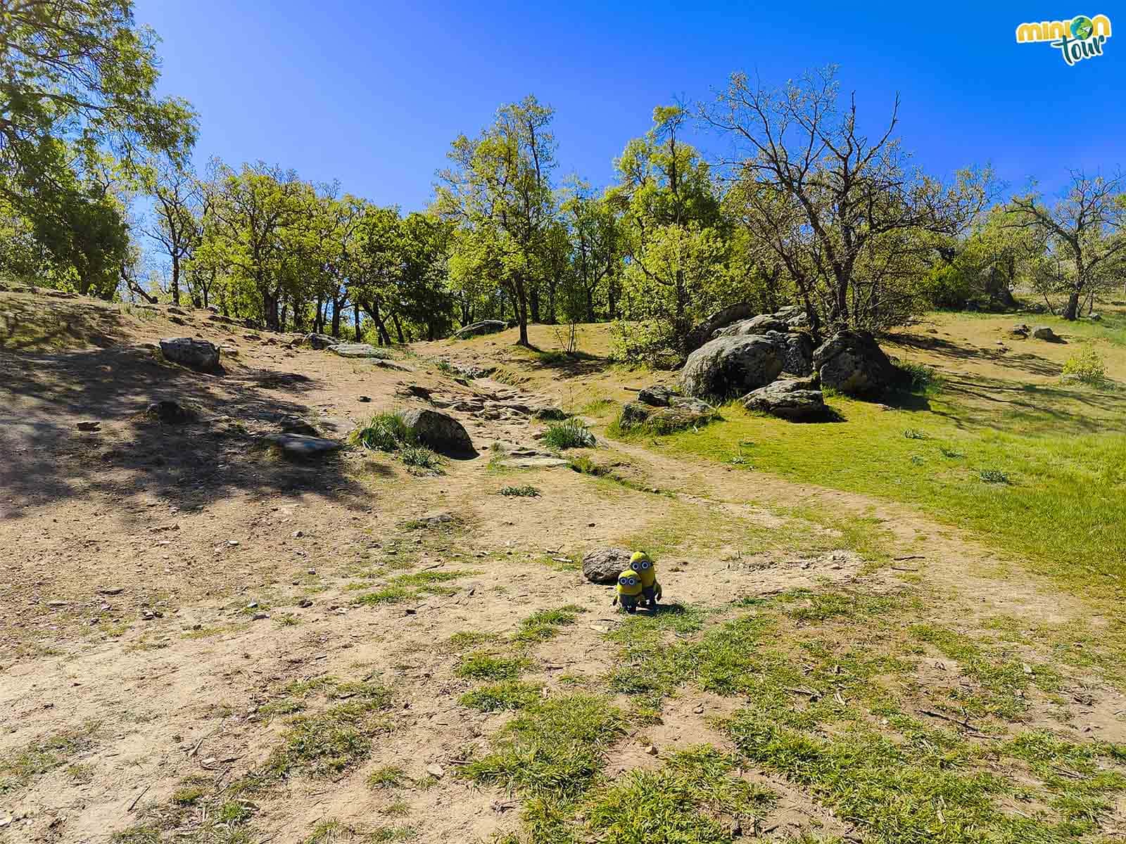 El Bosque de la Herrería es uno de los sitios que ver en El Escorial