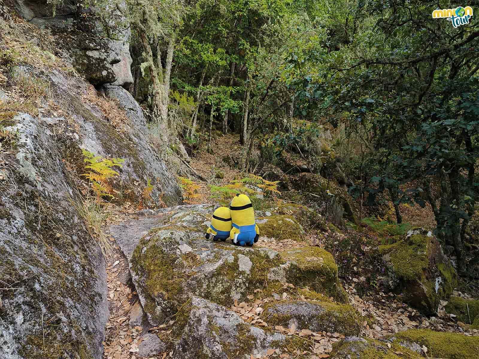 Ruta de Cibrisqueiros a San Cosmede, una ruta mística en la Ribeira Sacra