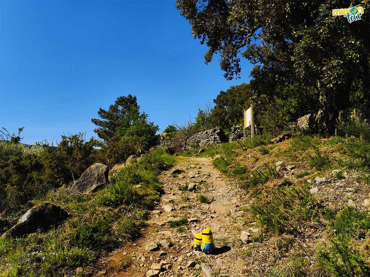 Durante nuestra ruta por miradores de los Cañones del Sil nos encontramos con el Castro da Cividá